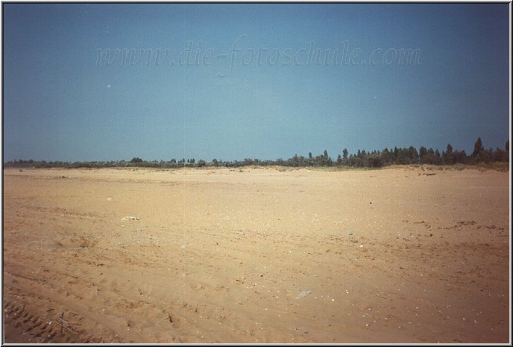 Strand Ca Savio 2.jpg - So schön breit und feinsandig ist der Strand am Adria-Meer bei Marina di Venezia.